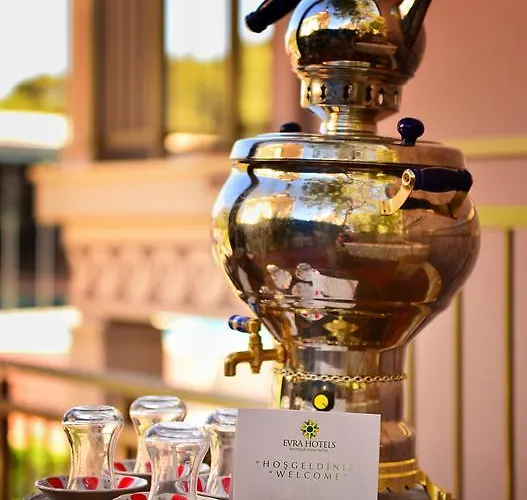 Ξενοδοχείο Evra 3*